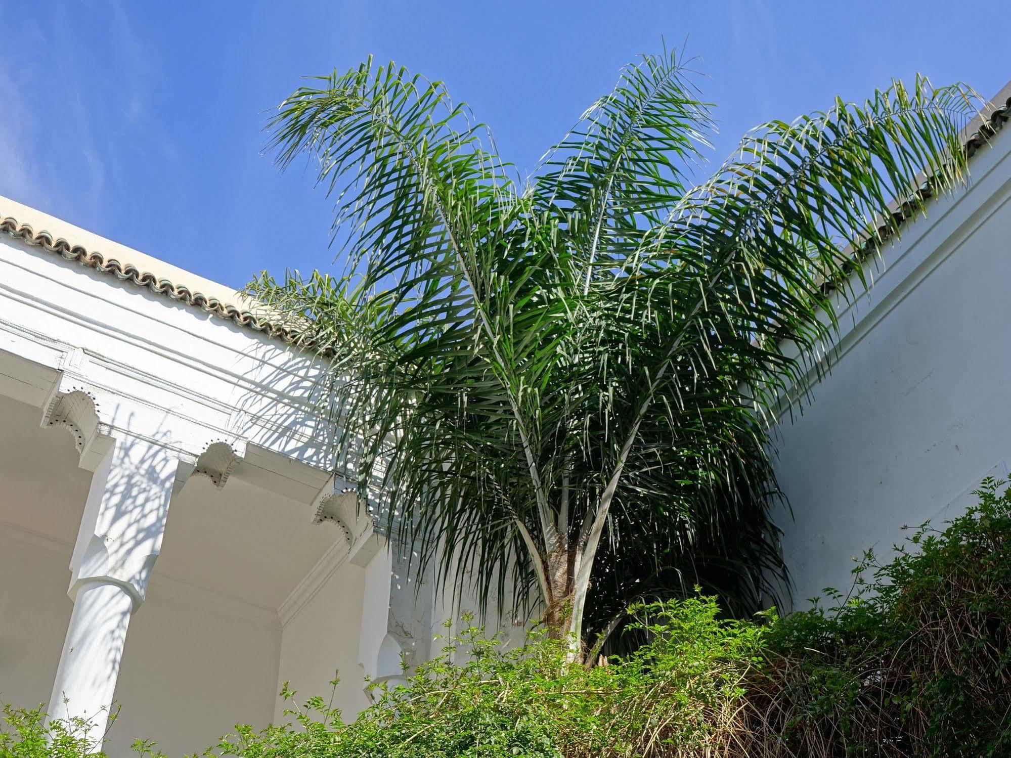 Riad Al Assala Marrakesch Exterior foto